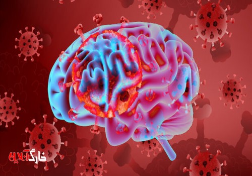 کروناویروس داخل نورون ها به بافت مغز آسیب می رساند