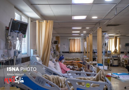 شیب صعودی ابتلا و بستری‌های بیمارستانی در بوشهر /رشد ۸ برابری کرونا