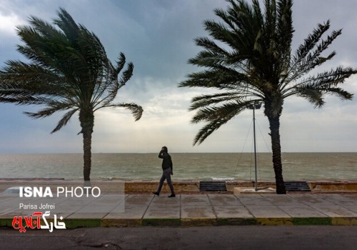 وزش شدید باد - بوشهر