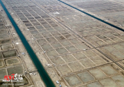 فصل تولید میگوی پرورشی در استان بوشهر آغاز شد/ افزایش اراضی