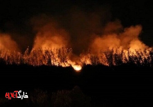 آتش‌سوزی در نیزارهای ورودی شهر بوشهر مهار شد