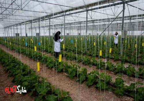 مجوز ۳۰ مرکز کشاورزی و منابع طبیعی غیردولتی در استان بوشهر صادرشد