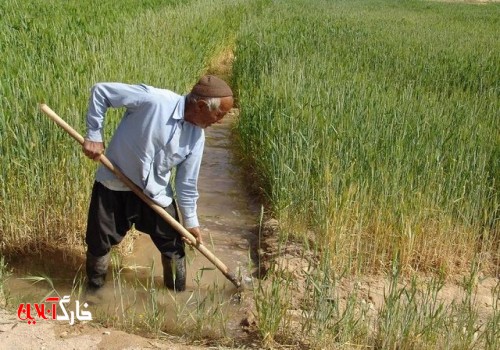 پرداخت ۲۵۰میلیارد ریال غرامت به کشاورزان بوشهری