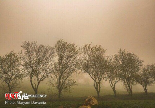 نفوذ گردوغبار فرامنطقه‌ای به استان بوشهر/ کیفیت هوا کاهش می‌یابد