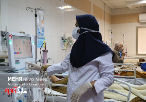 تعداد بیماران بستری در بخش‌های کرونایی بوشهر به ۱۵ نفر رسید