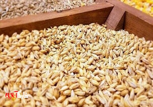 گندم به مقدار کافی در انبارهای استان بوشهر ذخیره شد