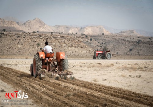توزیع بذر و کشت گندم در شهرستان گناوه آغاز شد