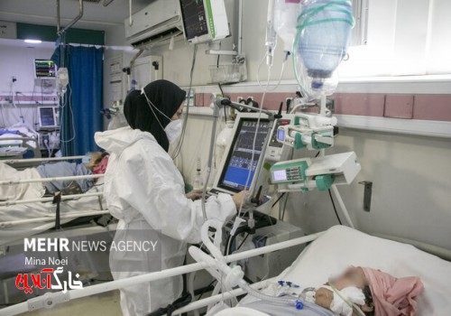 کمبود پرستار در استان بوشهر/ ایثارگران سلامت حمایت شوند