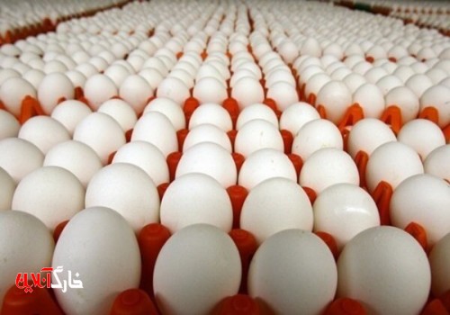 افزایش ۱۵ درصدی ورود تخم مرغ به شهرستان دشتی