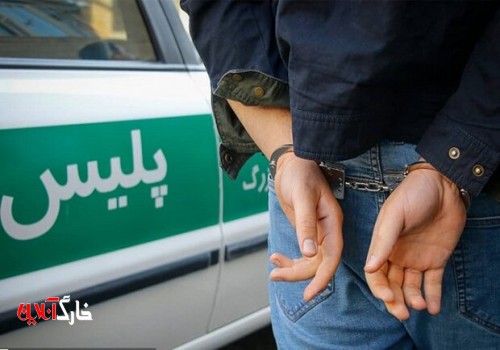 سارقین سیم برق در دشتستان دستگیر شدند