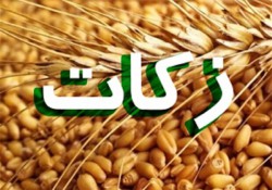 صندوق قرض‌الحسنه زکات در استان بوشهر راه‌اندازی شود