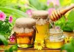 معجزه ترکیب سیاه دانه و عسل برای درمان کرونا