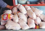 مرغ کیلویی ۲۴ هزار و ۵۰۰ تومان در استان بوشهر عرضه می‌شود