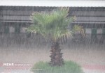 بارش باران در مناطق جنوبی استان بوشهر طی امروز و فردا