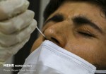 شناسایی ۸۲ مورد جدید مبتلا به کرونا ویروس در ایلام