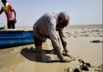 ٧٠٠٠ نهال حرا برای احیای طبیعت در استان بوشهر کاشته شد