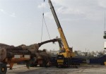 محموله درخت های نخل از بندر گناوه به کویت صادر شد