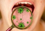کروناویروس در غدد بزاق دهان تکثیر می شود