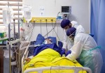 ۷۴۵ بیمار در بخش‌های کرونایی استان بوشهر بستری هستند