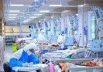 کاهش ۴۰ درصدی بیماران کرونایی در بوشهر/ وضعیت اورژانس‌ها نرمال شد
