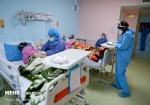 ۵۹۴ بیمار در بخش‌های کرونایی بوشهر بستری هستند/ ثبت ۹ فوتی جدید