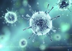 ۱۶ مورد جدید مبتلا به کرونا ویروس در ایلام شناسایی شد