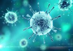 ۷۱ مورد جدید مبتلا به کرونا ویروس در ایلام شناسایی شد