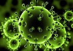 ۷۵ مورد جدید مبتلا به کرونا ویروس در ایلام شناسایی شد