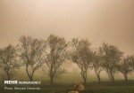 نفوذ گرد و غبار از مناطق جنوبی عراق و خوزستان به استان بوشهر