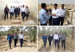 اجرای طرح‌های نوین آبیاری در دشتستان تسریع می‌شود