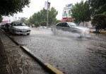 بارش باران خسارتی در استان بوشهر نداشته است