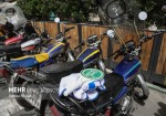 طرح ترخیص موتورسیکلت های رسوبی در بوشهر اجرا می‌شود