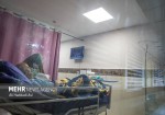 کرونا ۴ البرزی را در بیمارستان بستری کرد