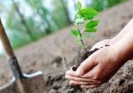 طرح مردمی کاشت یک میلیارد درخت اثرات کم‌نظیری خواهد داشت