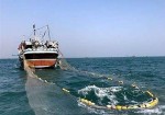 ۸۰۰ کیلوگرم ماهی صید غیرمجاز در آب‌های بندر بوشهر کشف شد