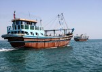 صید ماهی شیر در استان بوشهر ممنوع شد
