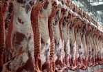 قیمت گوشت در بوشهر کاهش می‌یابد
