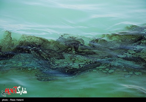 تصاویر/ آلودگی نفتی خط انتقال نفت از گناوه به جزیره خارگ