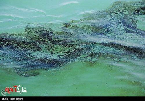 تصاویر/ آلودگی نفتی خط انتقال نفت از گناوه به جزیره خارگ